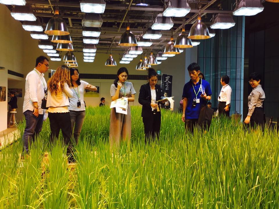 パソナ本社　植物工場見学